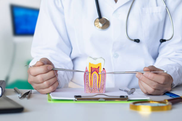 Best Dental Abscess Treatment in Platteville, WI